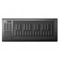 ROLI RISE 25