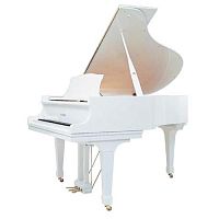 Kawai GL-20 WH/P