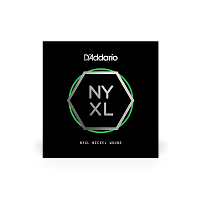 D`ADDARIO NYNW026